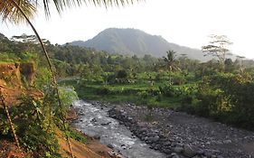 Anandinii River Lodge By Agata